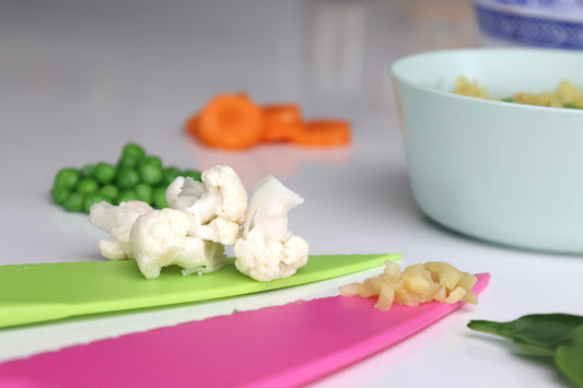 The Importance of a Balanced Diet for Young Children